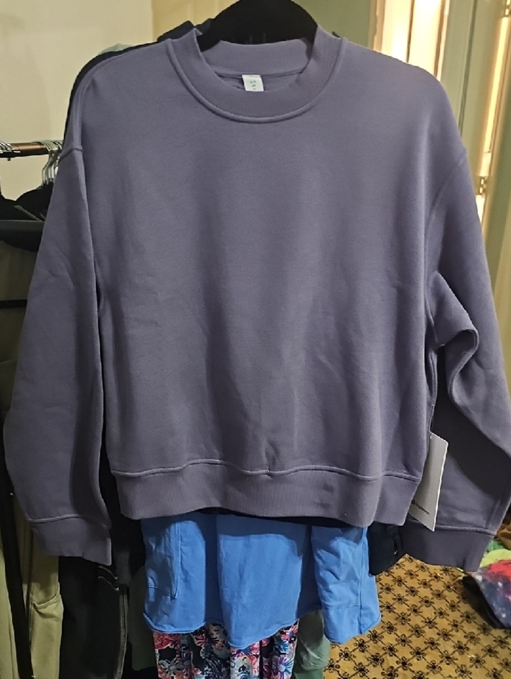 Steady State Oversized Crew-Grape‎ Mist